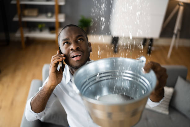 Best Water damage cleanup near me  in Garland, TX
