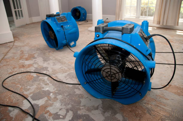 Best Flood damage cleanup  in Garland, TX